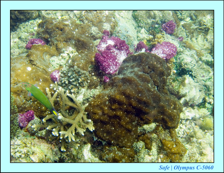 2008 - 07 - Perhentian - 082